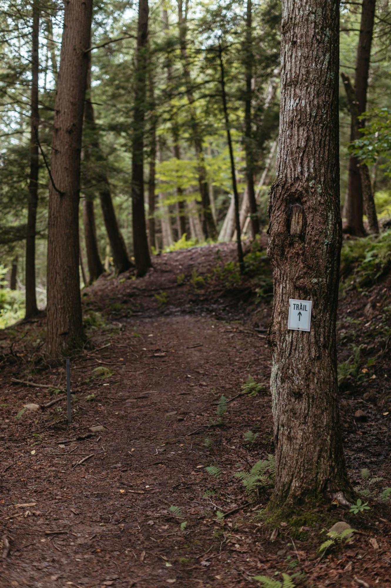 Antrim Streamside 호텔 Livingston Manor 외부 사진
