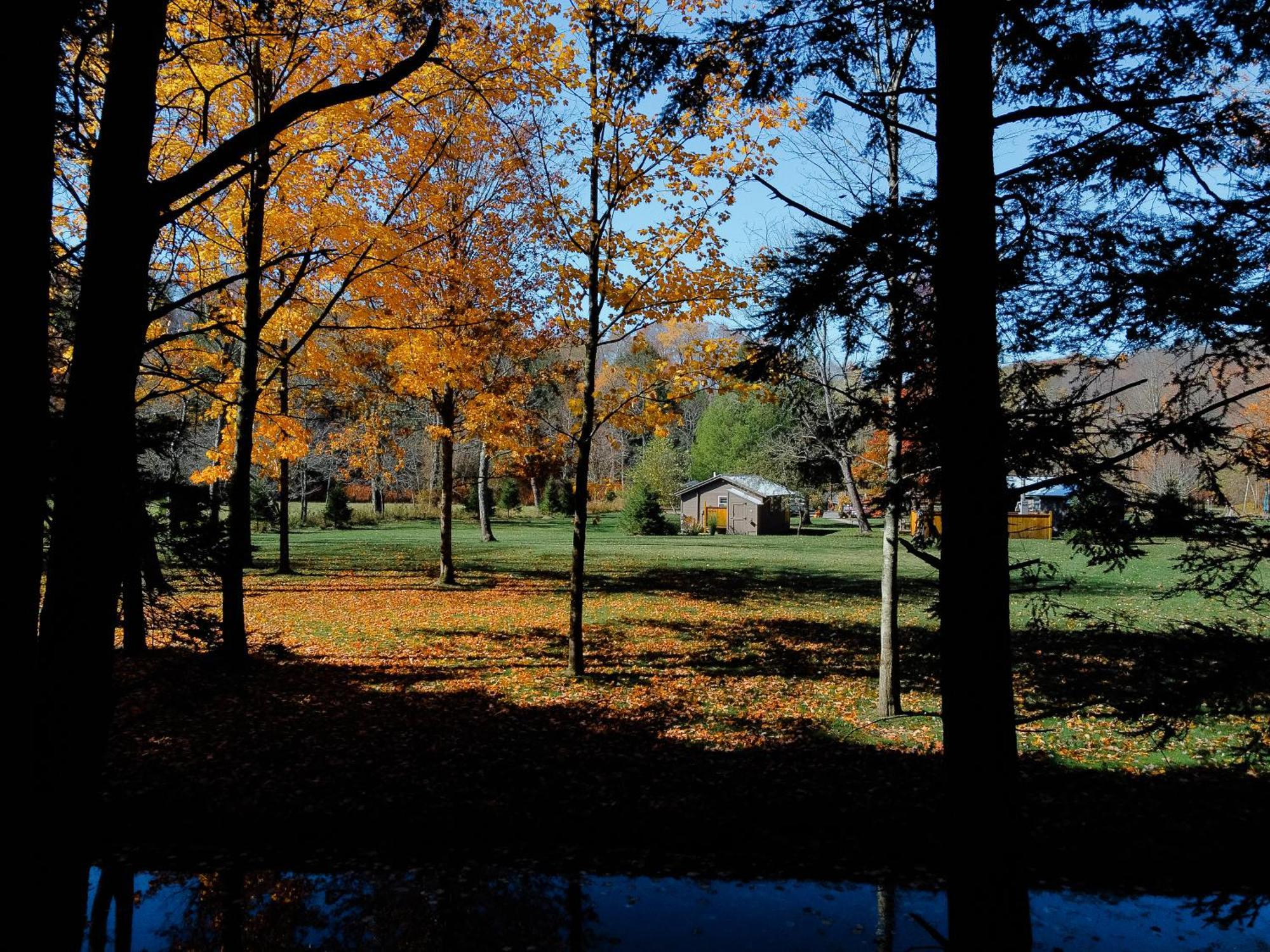 Antrim Streamside 호텔 Livingston Manor 외부 사진